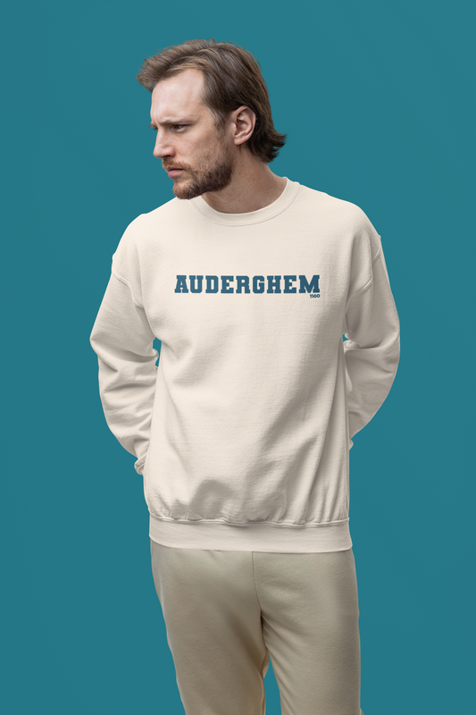 Sweatshirt Auderghem ivoire, porté par un homme