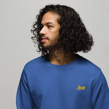 Sweatshirt brodé point Be bleu, porté par un homme